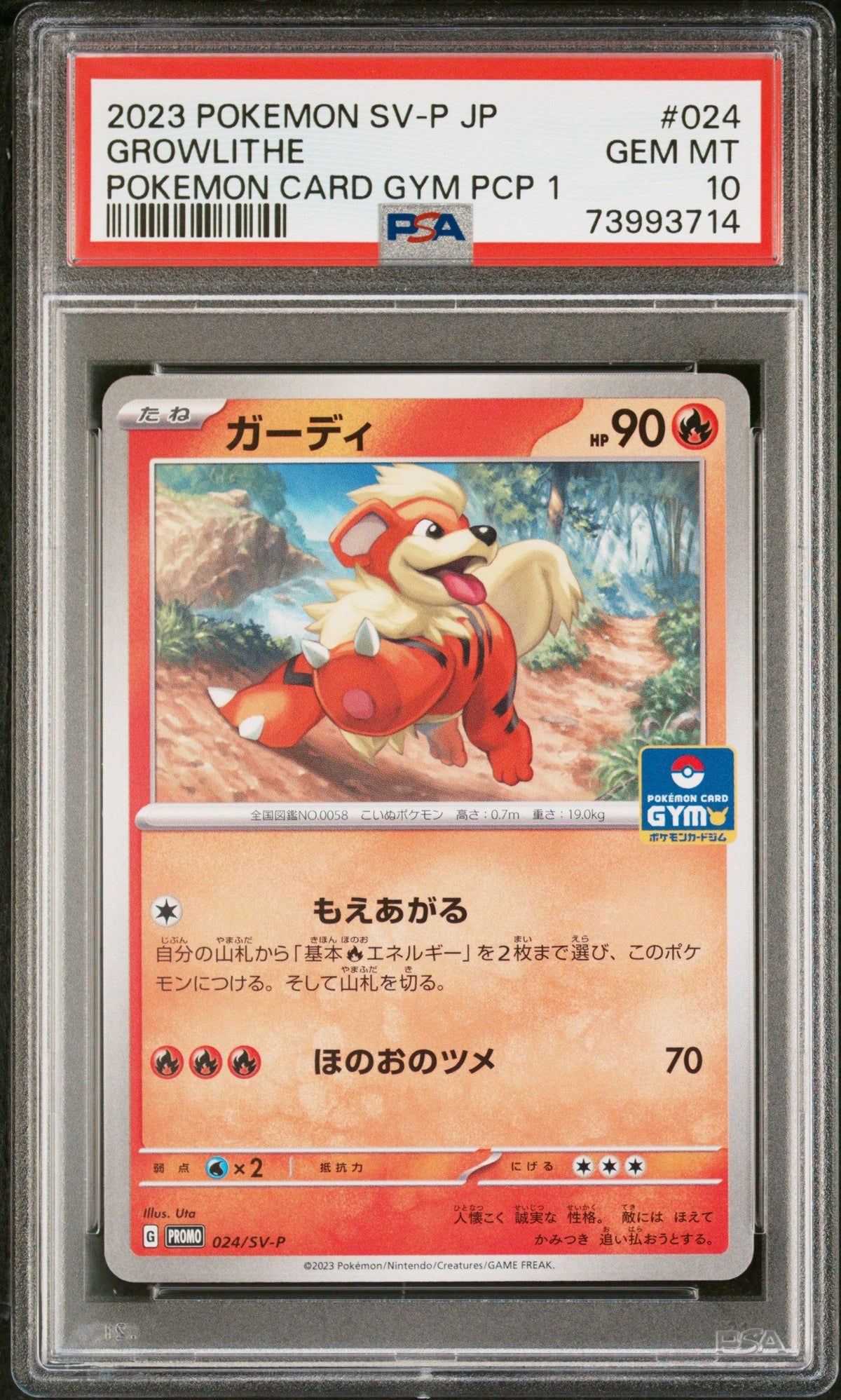 2023 Pokemon Japanese Sv-P Promo Growlithe Pokemon Card Gym Pcp 1 PSA 10