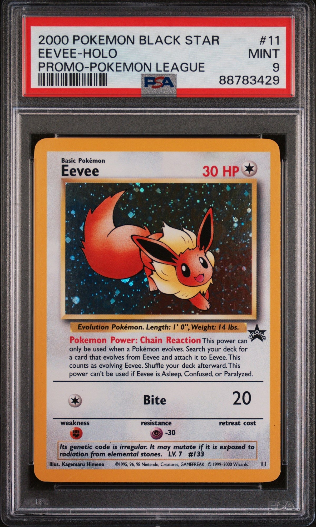 2000 Pokemon Promo Black Star Eevee-Holo Promo-Pokemon League PSA 9