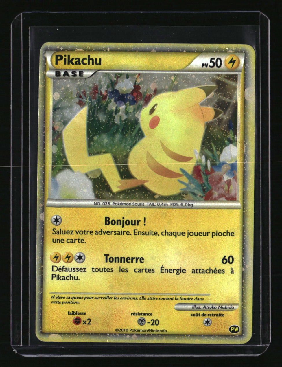 Pikachu World Collection Promos Pikachu (French)