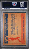 1959 Fleer Ted Williams 1957-Outfielder Ted PSA 6