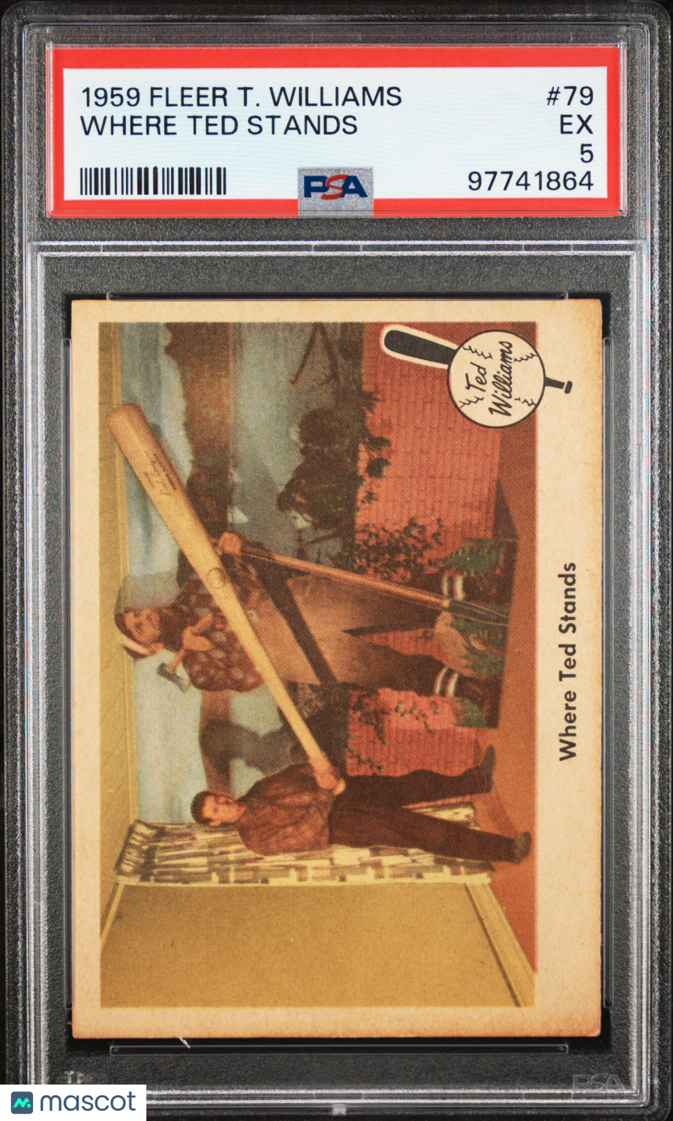 1959 Fleer Ted Williams Where Ted Stands PSA 5