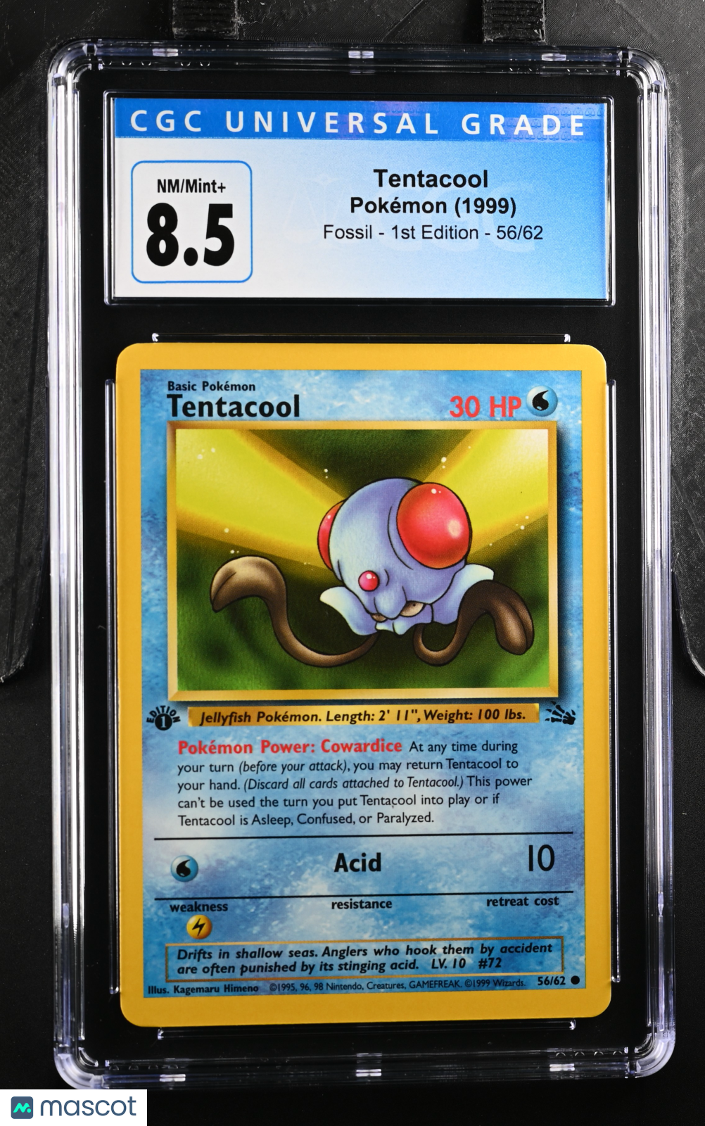 1999 Fossil - 1st Edition Tentacool CGC 8.5