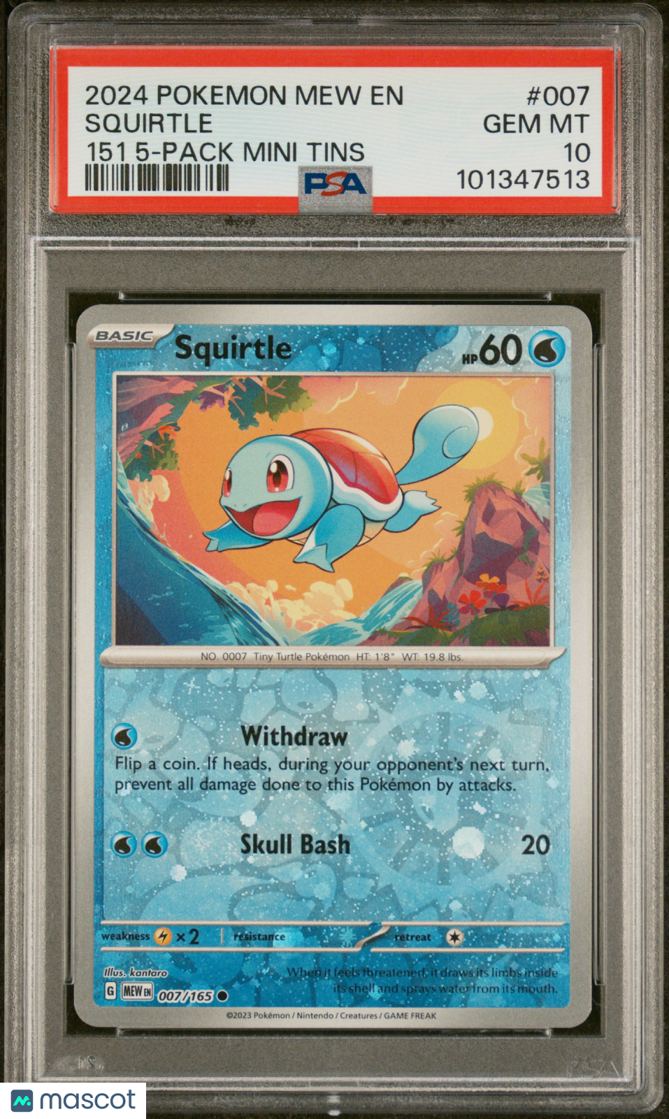 2024 Pokemon Mew En-151 Squirtle 151 5-Pack Mini Tins PSA 10